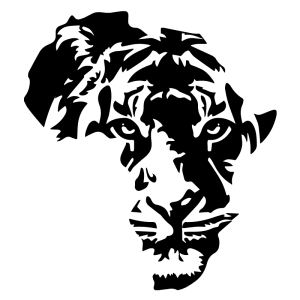 深圳大疆创新科技有限公司